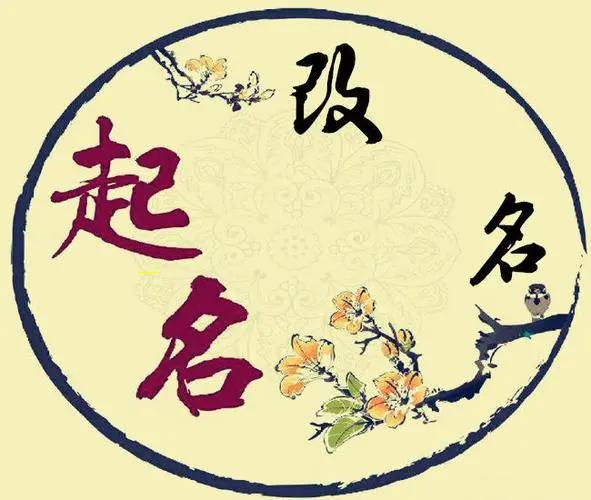 周易测算超准，你的五行命数由它来 🌲 揭秘！